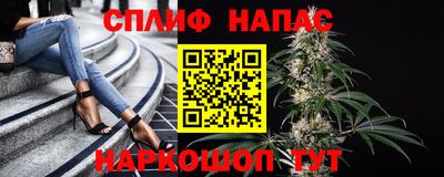 сатива Можга