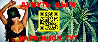 сатива Можга