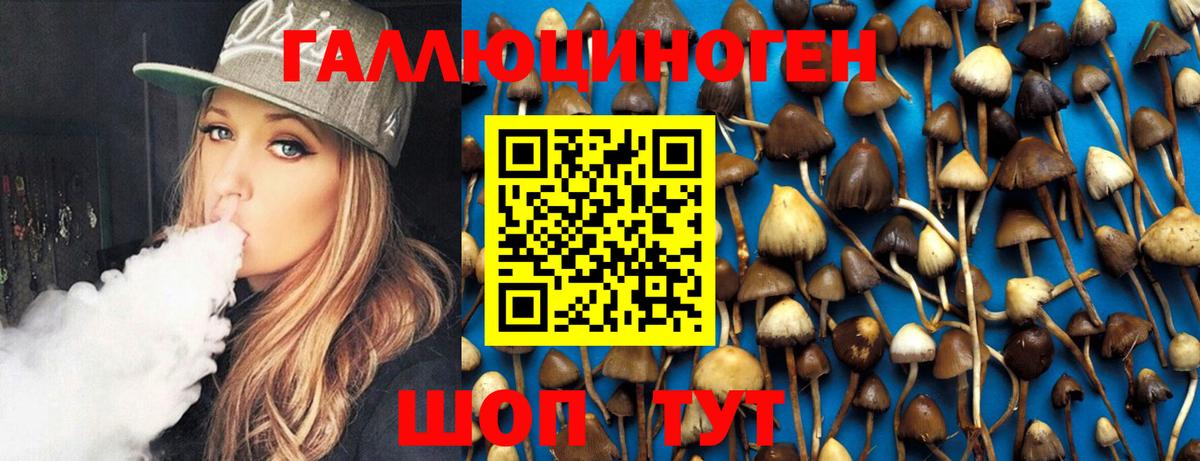 Галлюциногенные грибы GOLDEN TEACHER  Псилоцибиновые грибы MAGIC MUSHROOMS  Вход с VPN  Азов 